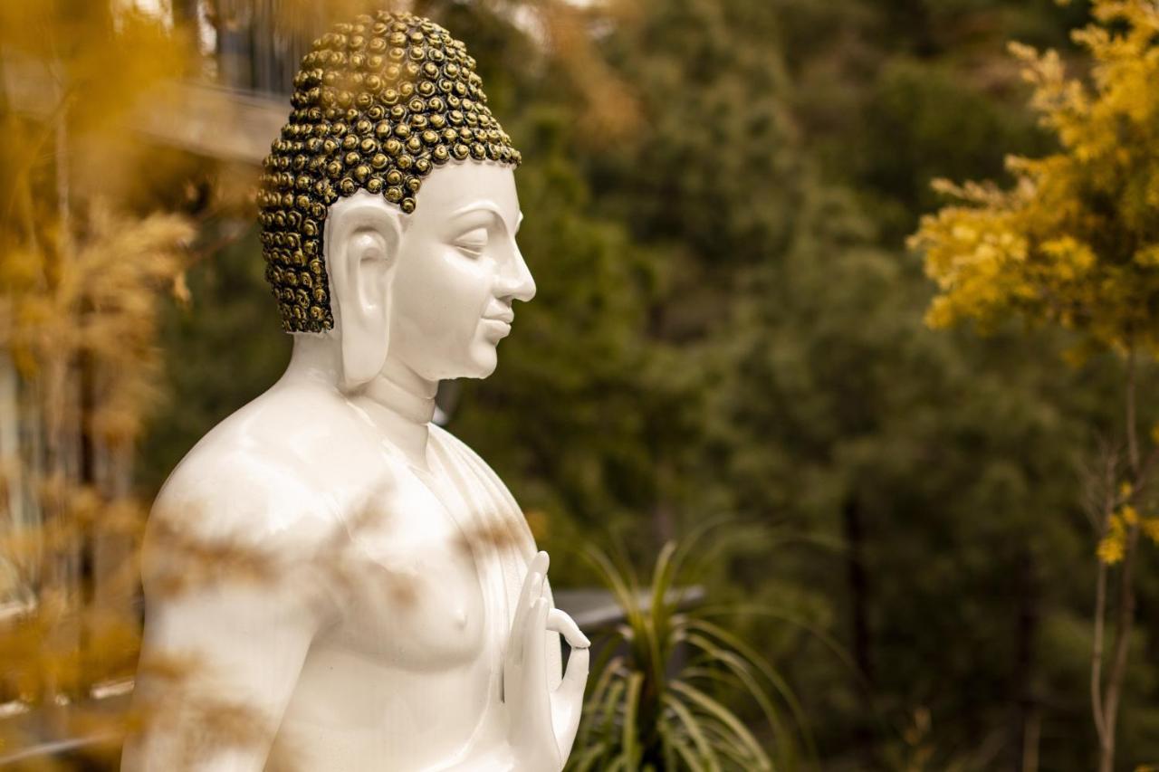 Golden Fern Resort Shimla Exterior photo